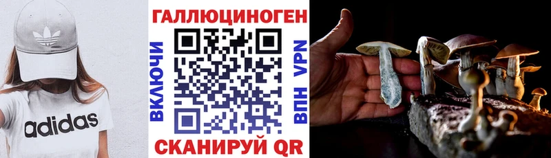Галлюциногенные грибы прущие грибы  Ликино-Дулёво 